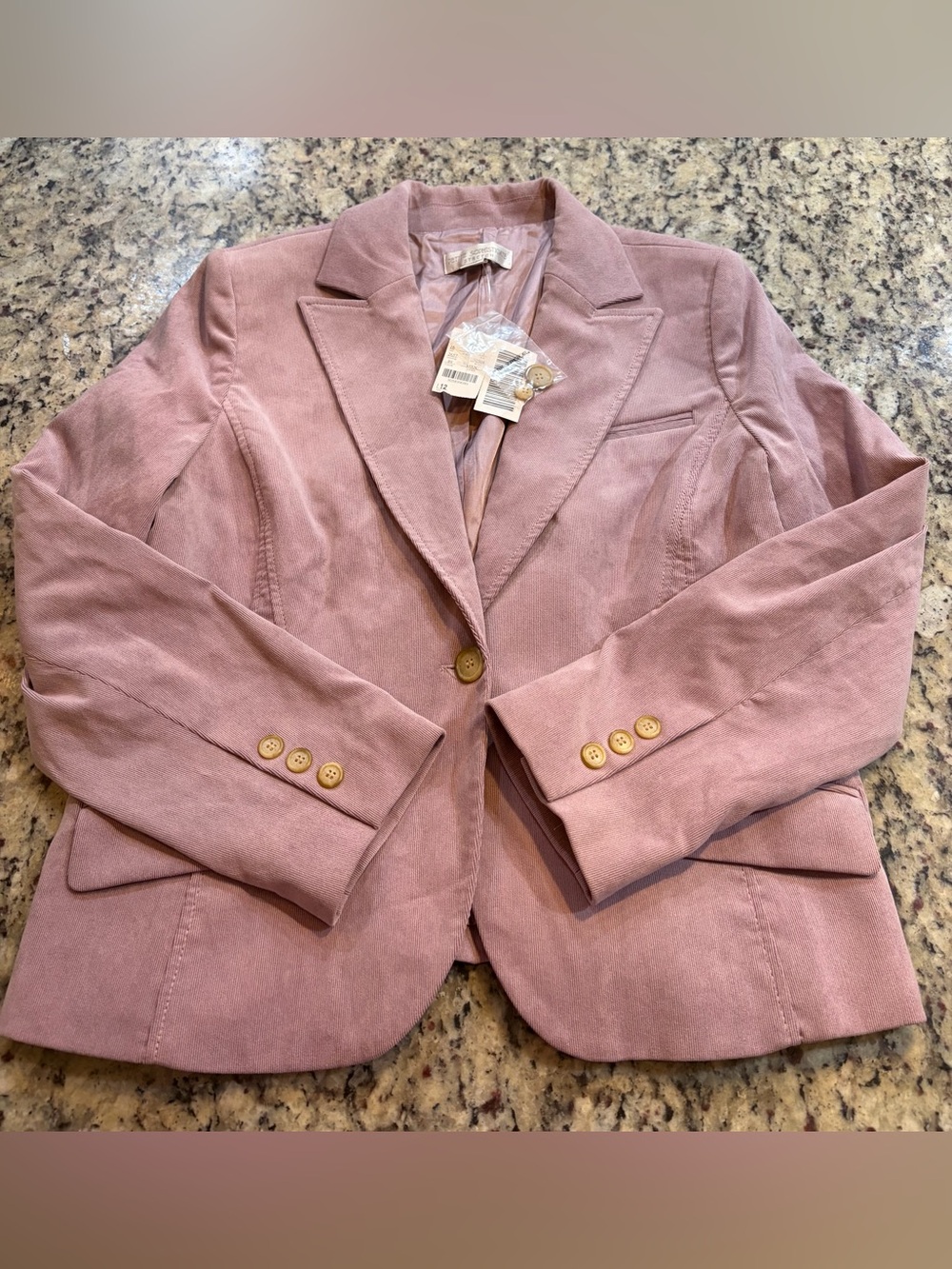 Petite Sophisticate Light Mauve Tailored Blazer